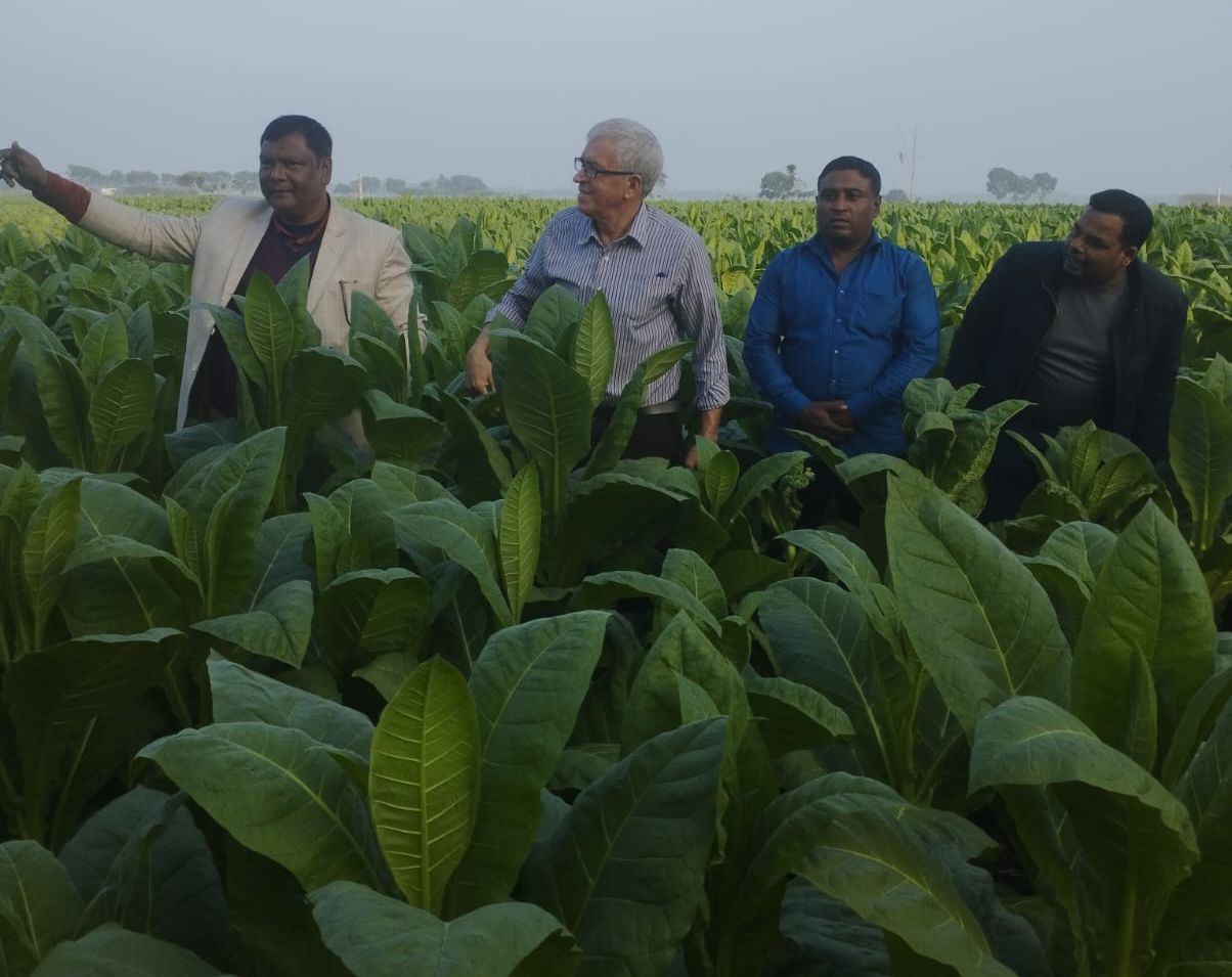 LEAF & JUTE IBERIAN S.L grupo de gente en plantacion